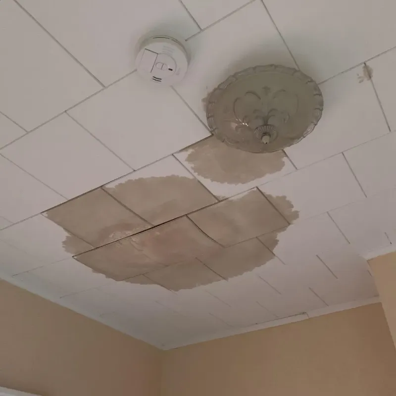 Ceiling Water Damage Repair in Peach Lake, NY