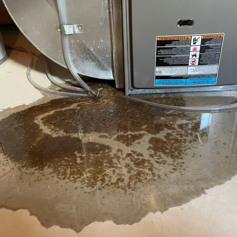 Pipe Burst and Leak Restoration in Peach Lake, NY