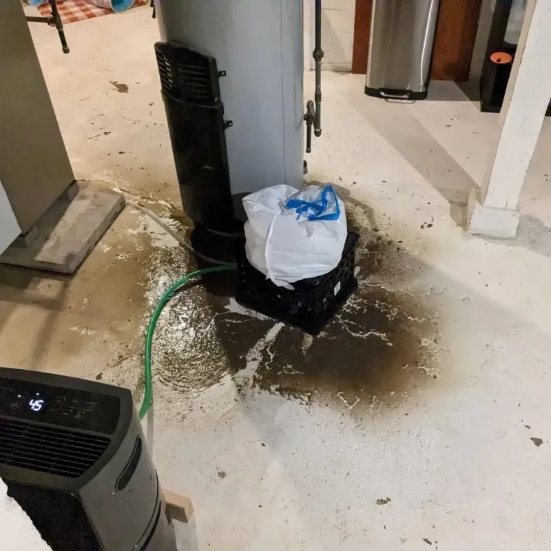 Sewage Backup Cleanup Service in Peach Lake, NY